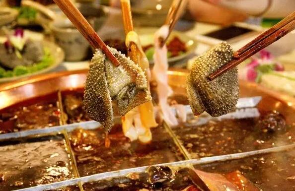 1486721766895714.jpg QQ截圖20170210181516.jpg